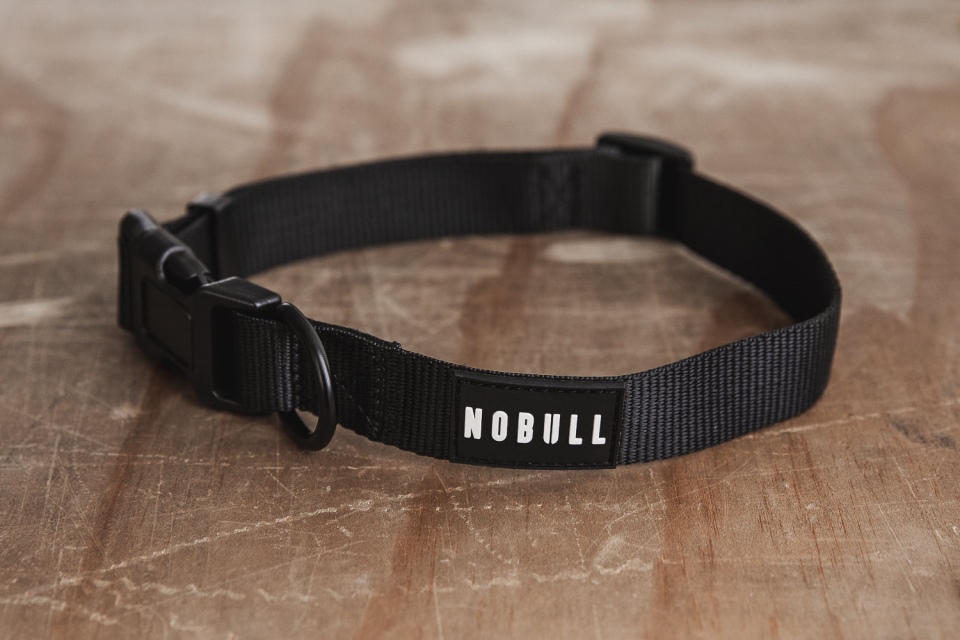 Collar De Perro Nobull (1 Pulgada) Negro